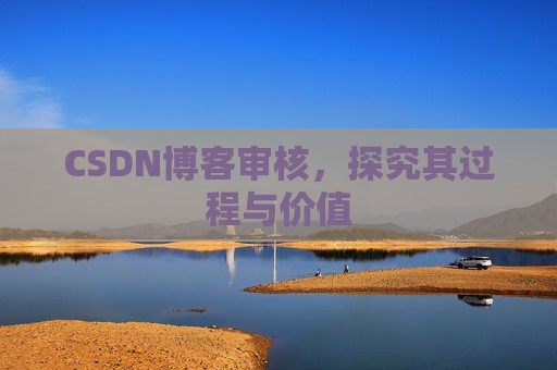 CSDN博客审核，探究其过程与价值